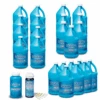 Baquacil CDX Bulk Deal For Pools Up To 20,000 Gallons 1 Baquacil CDX Bulk Deal For Pools Up To 20,000 Gallons -Pool Supplies Sale Baquacil bulk deal 20k 39169.1695926649